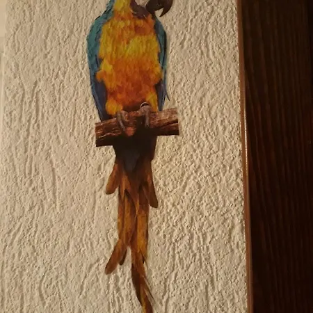Rio *